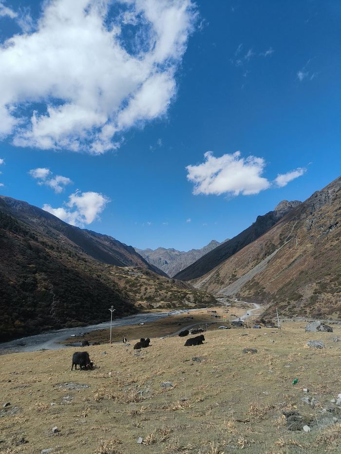 Northeast India travel moment